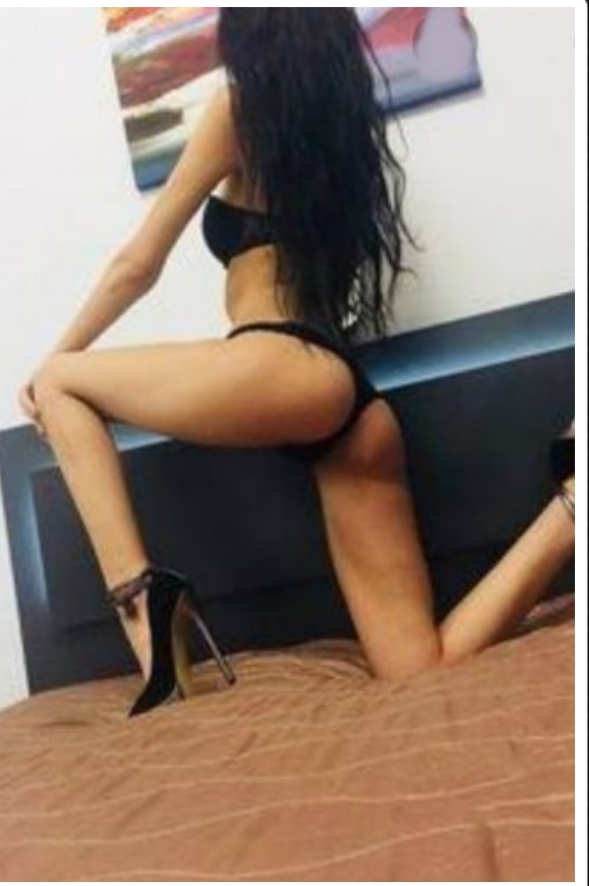 Tonkatoy Escort